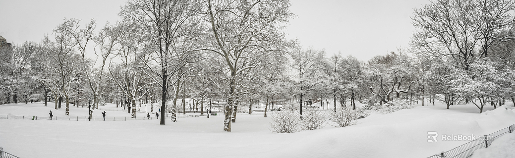 Snow texture