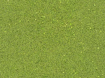 Grassland texture (ID:ffach138750)
