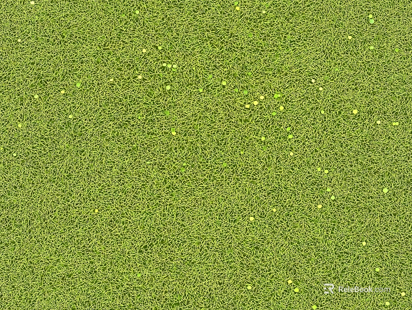 Grassland texture
