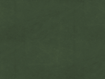 fine grain leather texture (ID:ffagg54809)