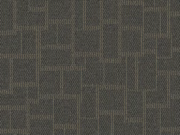 Plaid 3d model