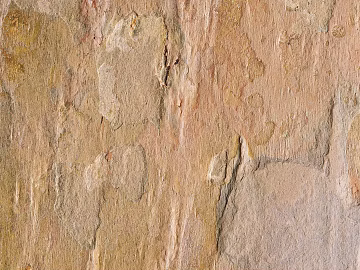 Concrete texture (ID:ffajg96725)