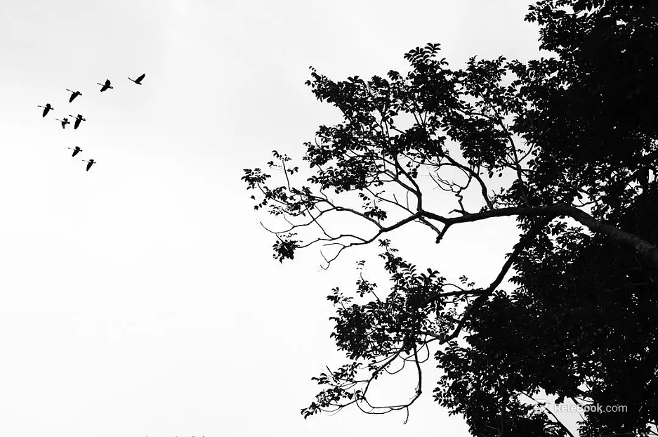 black and white painting texture