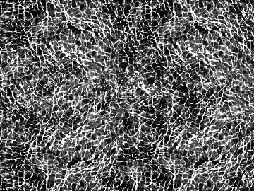 Black and White Water Ripple Surface Decoration Map 3d model