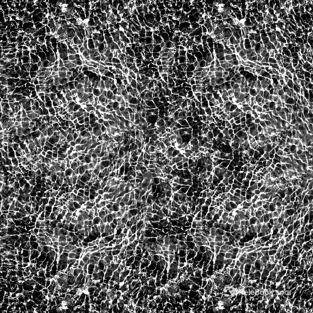 Black and White Water Ripple Surface Decoration Map texture