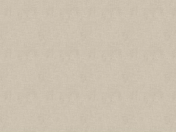plain cloth texture (ID:ffaag57372)
