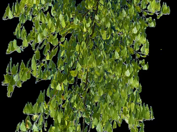 leaves texture (ID:ffabg60154)