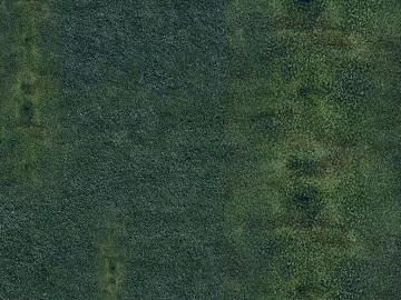 Turf texture (ID:ffajg90916)