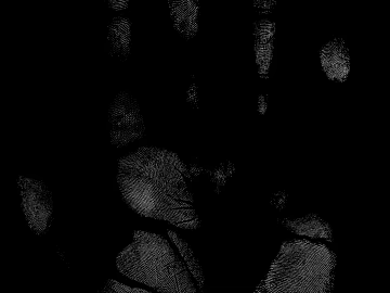 Stain Spot Palm Noise Black and White Bump texture (ID:ffach127033)