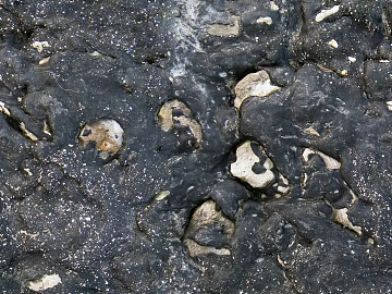 Rock texture (ID:ffach242336)