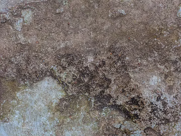 Rock texture (ID:ffaag43889)
