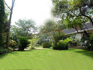 Courtyard texture (ID:ffagg38211)