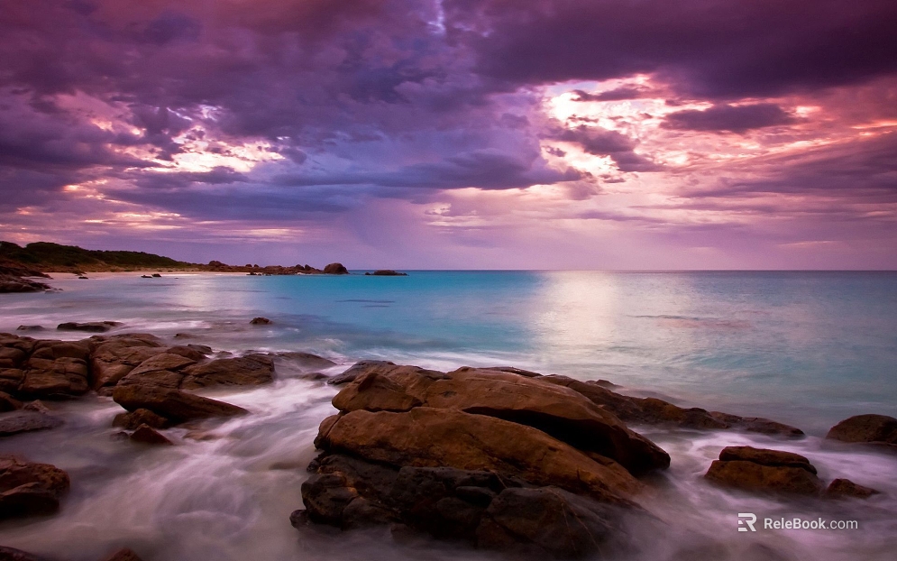 Wild Scenery texture