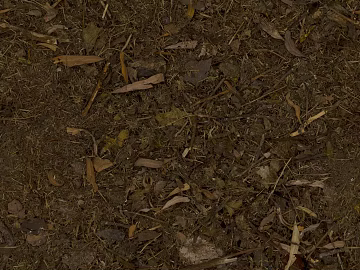Grassland texture (ID:ffabg92082)