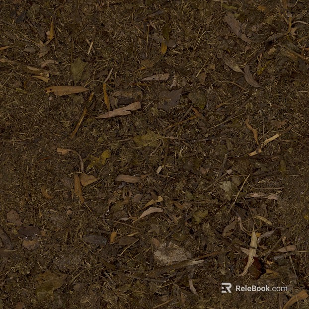 Grassland texture