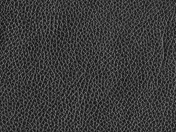 Coarse-grain leather 3d model