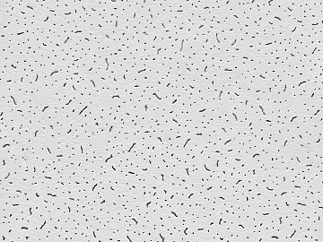 Mineral wool board texture (ID:ffacg27697)