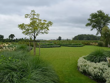 Exterior texture (ID:ffagg59501)