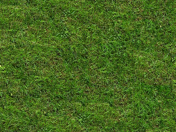 Turf texture (ID:ffaeg76237)