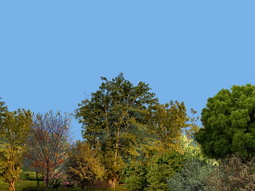 Wild Scenery 3d model