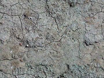 Mud texture (ID:ffajg98939)