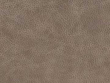 Coarse-grain leather texture (ID:ffach182638)