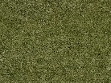 Turf texture (ID:ffajg58100)
