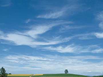 Sky texture (ID:ffabf3531)