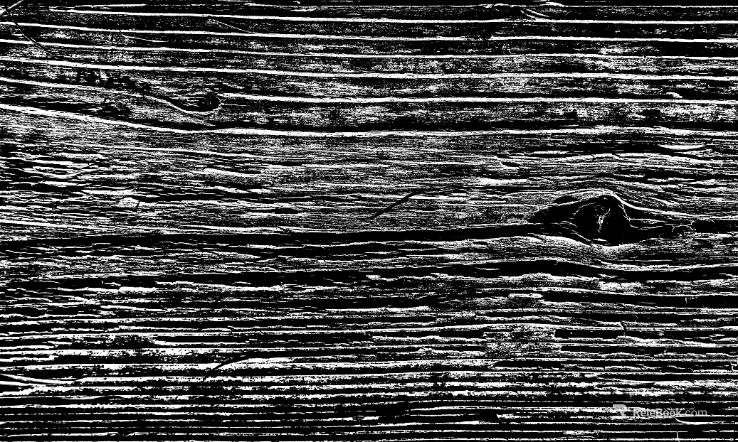 Black and White Bump Wood Grain Black and White Bump texture