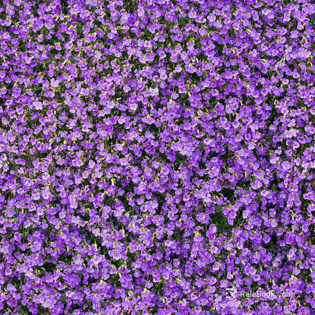 shrub flowers bushes texture