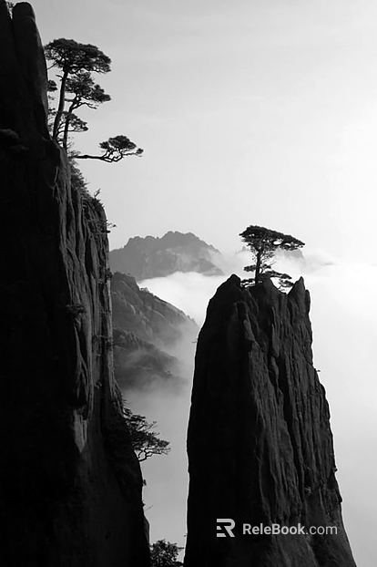 New Chinese black and white landscape painting texture