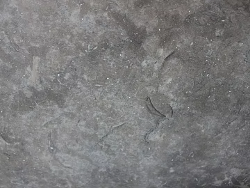 Cement floor texture (ID:ffajg96965)