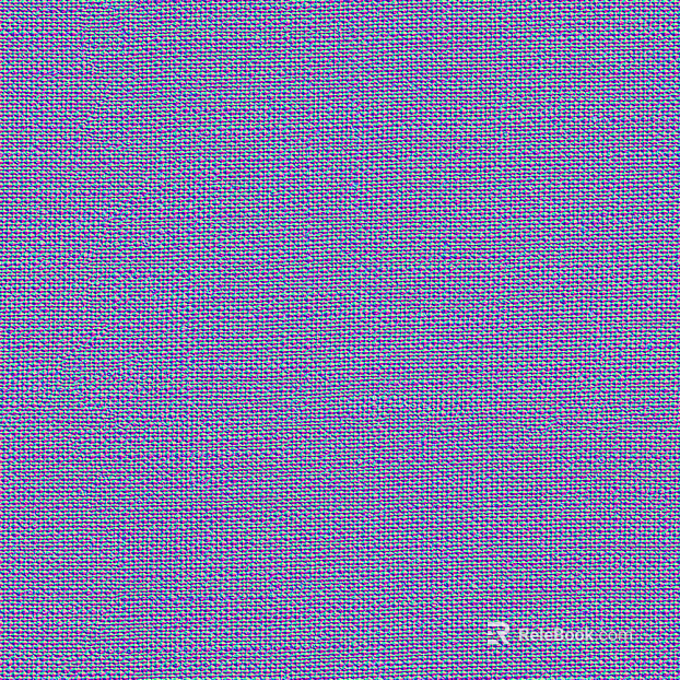 Normal Bump texture