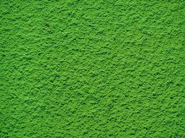 diatom mud 3d model