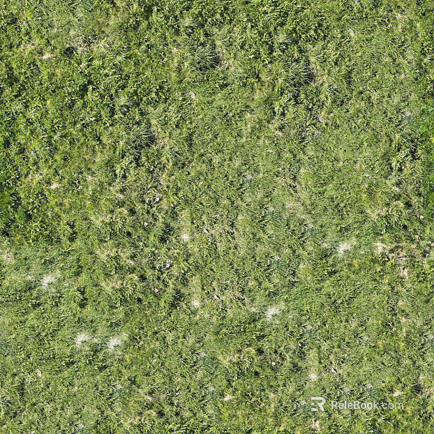 Realistic textured grassland, grassy slope, and green space—texture and grain. texture