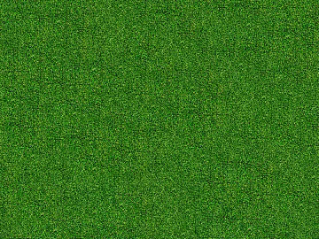 Real Texture Grass Slope Green Space Texture 3d model