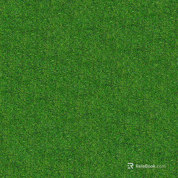 Real Texture Grass Slope Green Space Texture texture