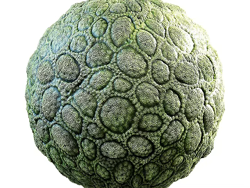 Moss PBR texture (ID:ffach992994)