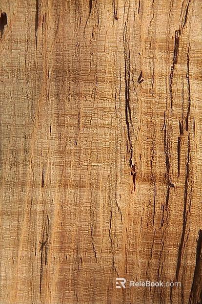 old wood texture