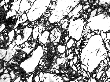 Black and White Bump texture (ID:ffagg88720)