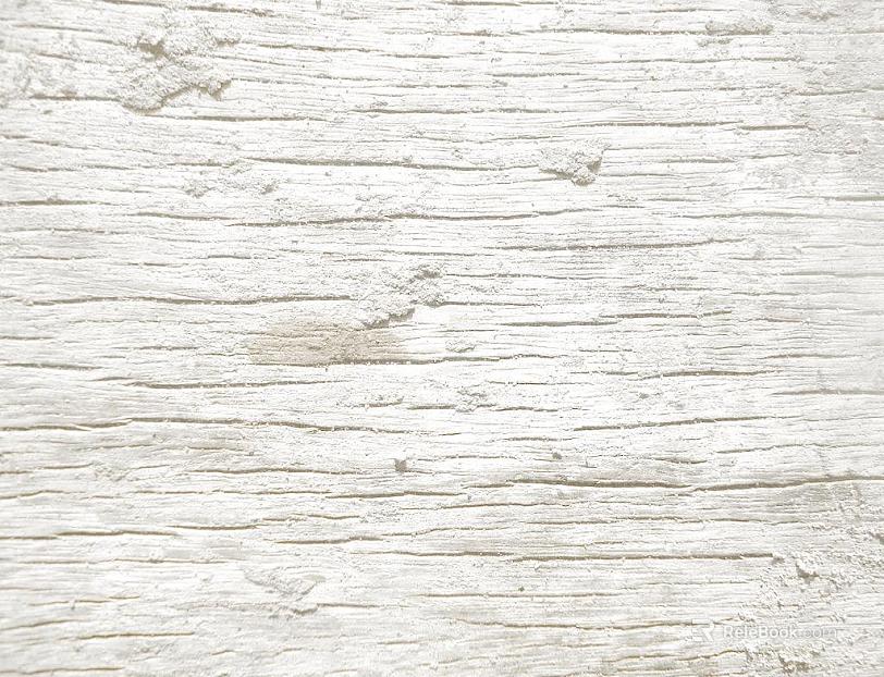 old wood texture