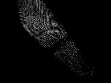 Fingerprint texture (ID:ffagg60374)