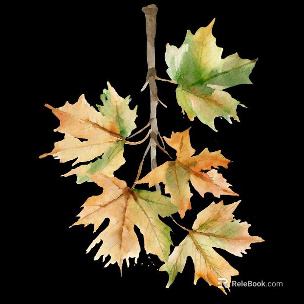 Yellow green watercolor maple leaf decorative illustration texture