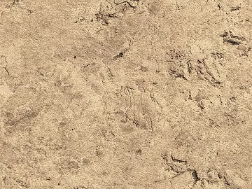 Modern Yellow Mud Wall texture (ID:ffach129365)