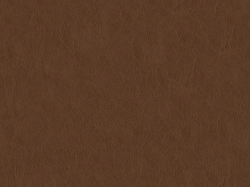 fine grain leather texture (ID:ffagg35939)