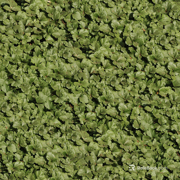 Turf ground texture