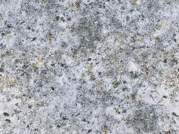 Cement floor texture (ID:ffagg26025)