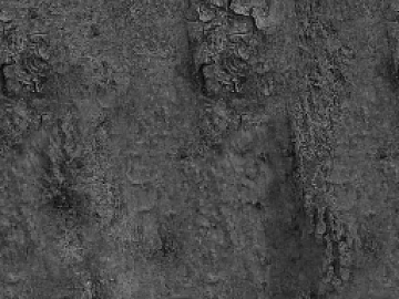 black and white bark texture (ID:ffacg93796)