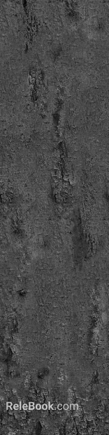 black and white bark texture