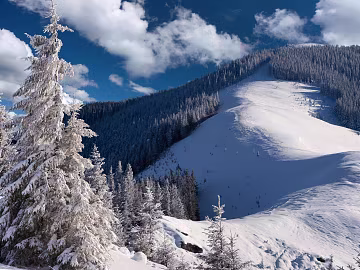 Snow texture (ID:ffabf5156)